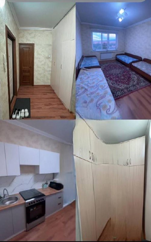 Подселение для девушки